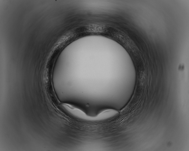 X0000098030731200804251414