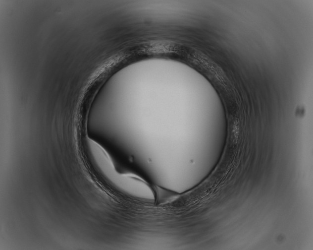 X0000098030732200804251414