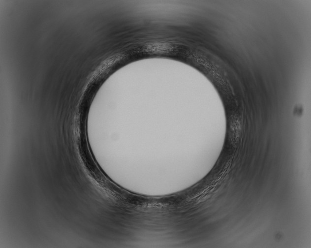 X0000098030734200804251414