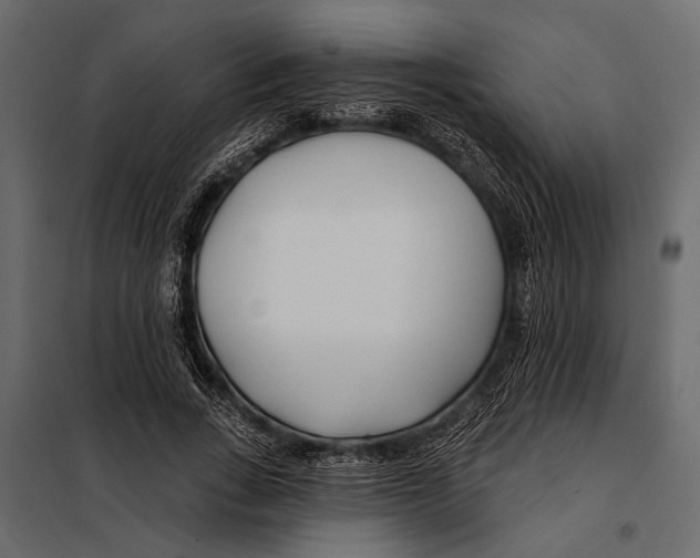 X0000098030735200804251414