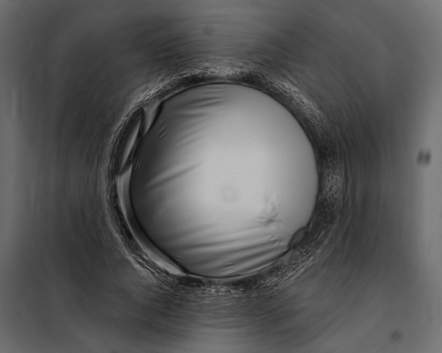 X0000098030736200804251414