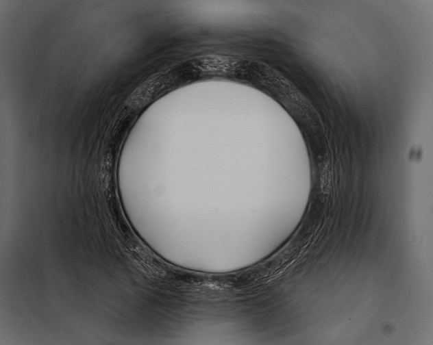 X0000098030737200804251414