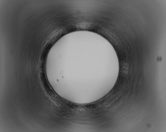 X0000098030738200804251414