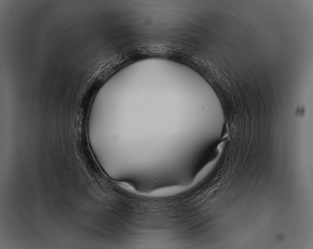 X0000098030739200804251414