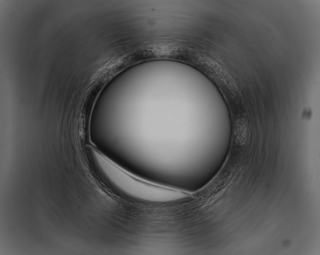 X0000098030740200804251414