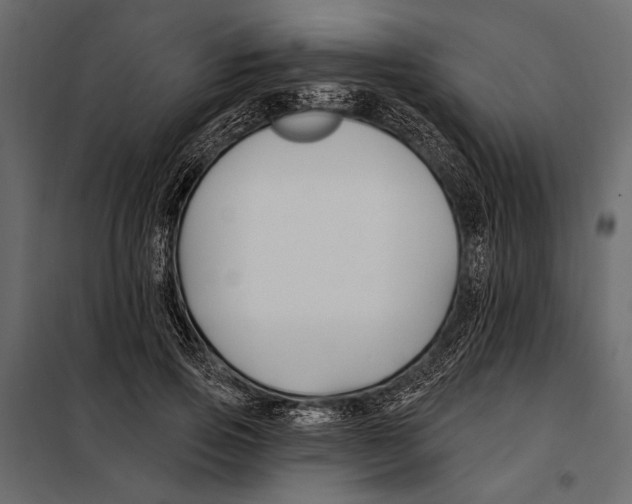 X0000098030741200804251414