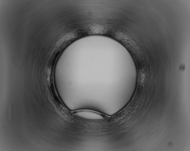 X0000098030742200804251414