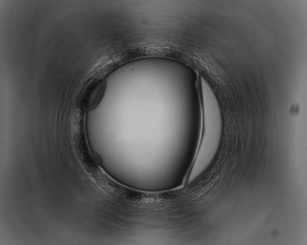 X0000098030744200804251414