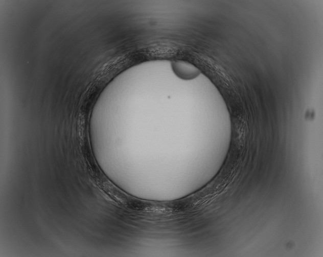 X0000098030745200804251414