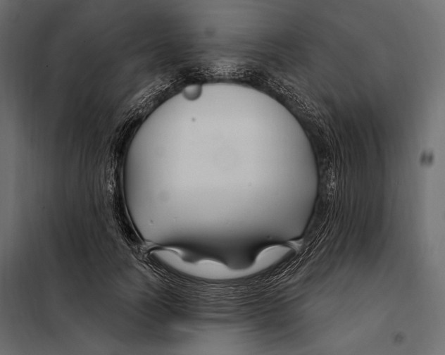 X0000098030746200804251415