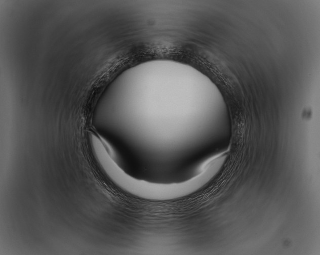 X0000098030750200804251415