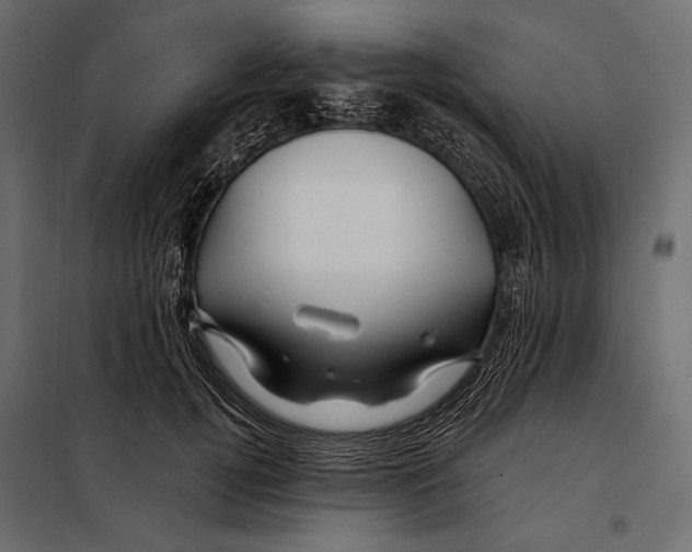 X0000098030752200804251415