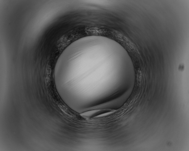 X0000098030760200804251415