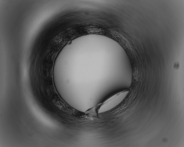 X0000098030763200804251415