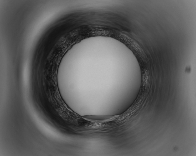 X0000098030764200804251415