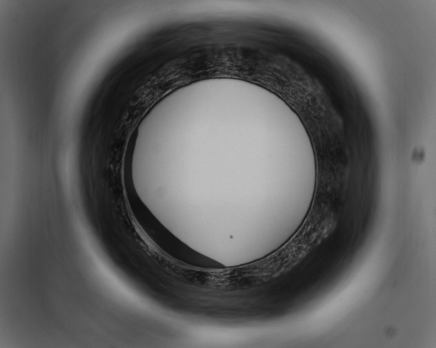 X0000098030766200804251415