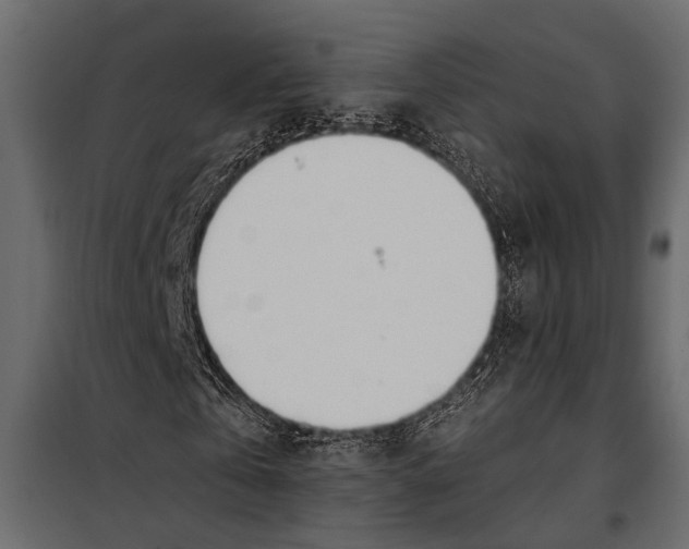 X0000098030769200804251414