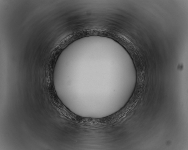 X0000098030774200804251414