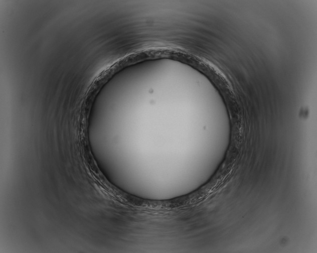 X0000098030775200804251414