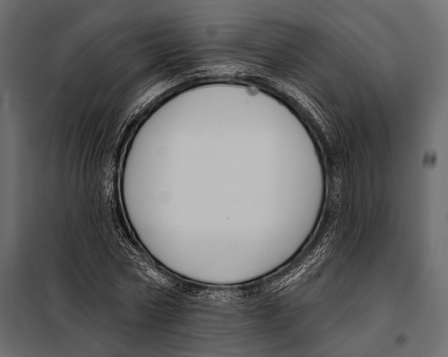 X0000098030778200804251414