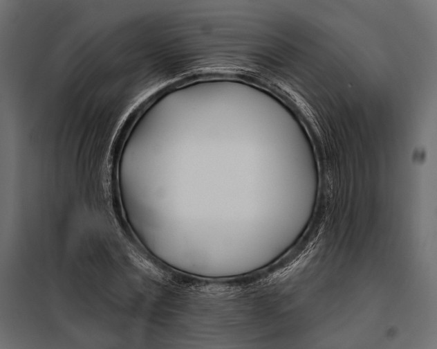 X0000098030779200804251414