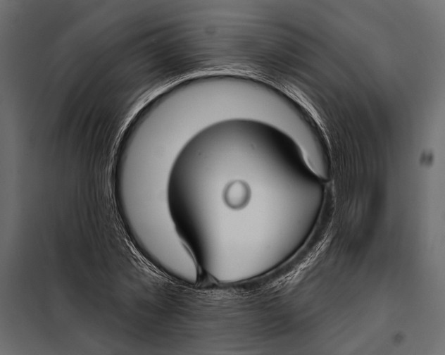 X0000098030781200804251414