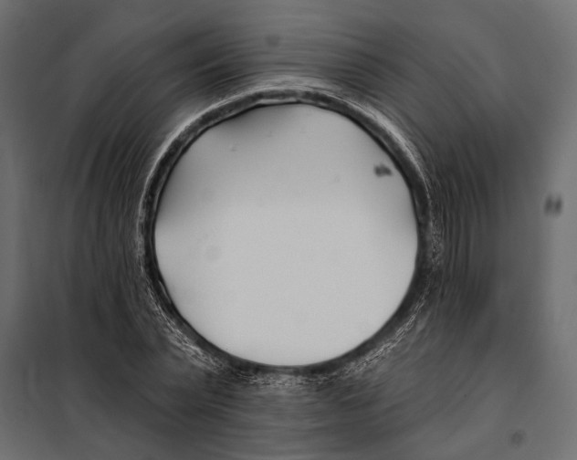 X0000098030783200804251414