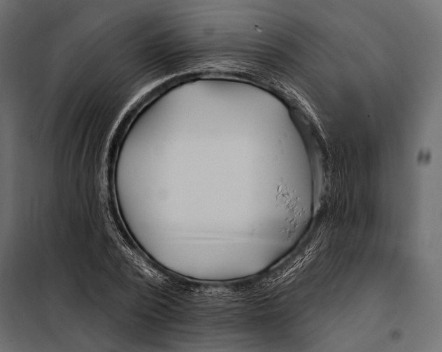 X0000098030784200804251414