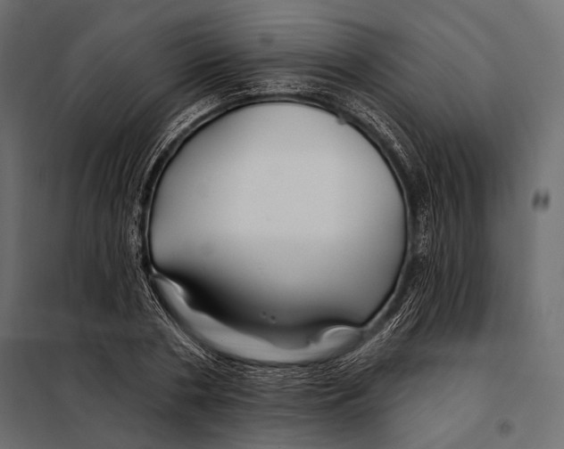 X0000098030786200804251414