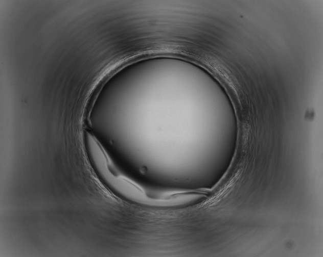 X0000098030789200804251414