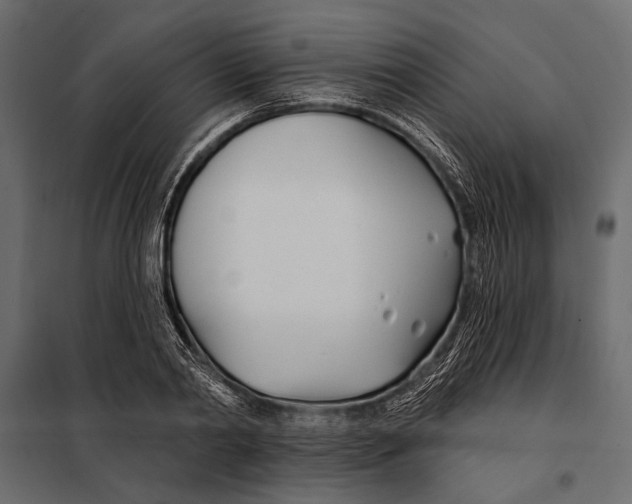 X0000098030790200804251414