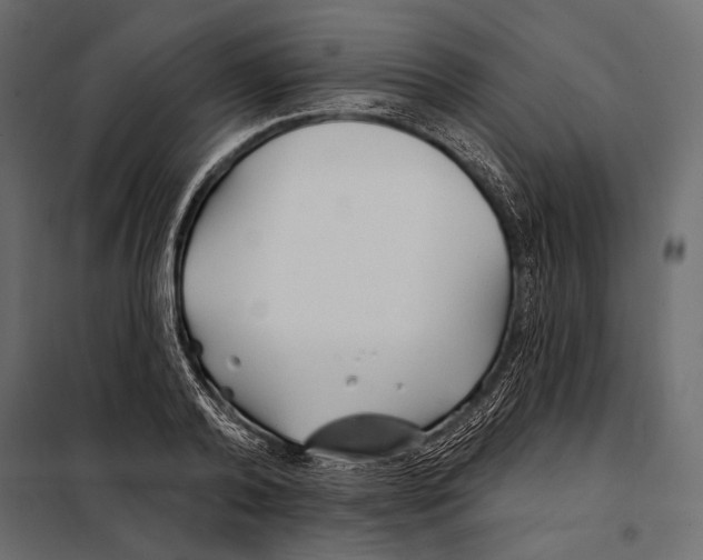 X0000098030792200804251414