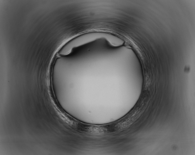 X0000098030795200804251414