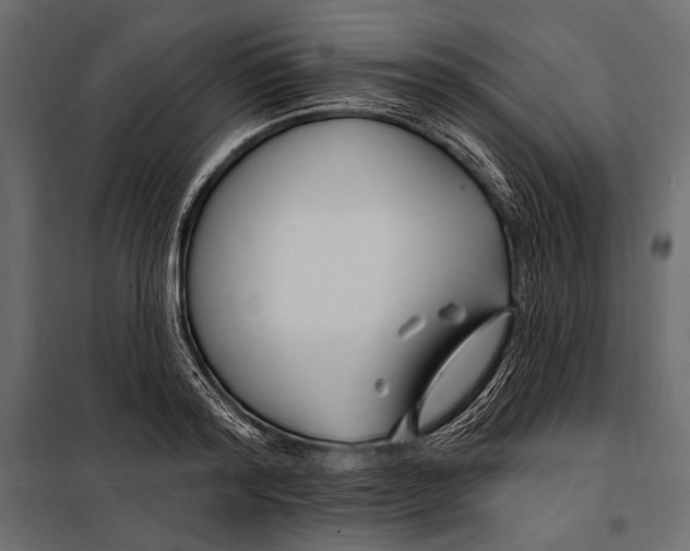 X0000098030796200804251414