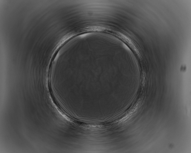 X0000098030802200804251414