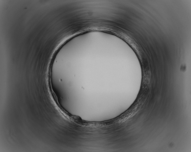 X0000098030803200804251414