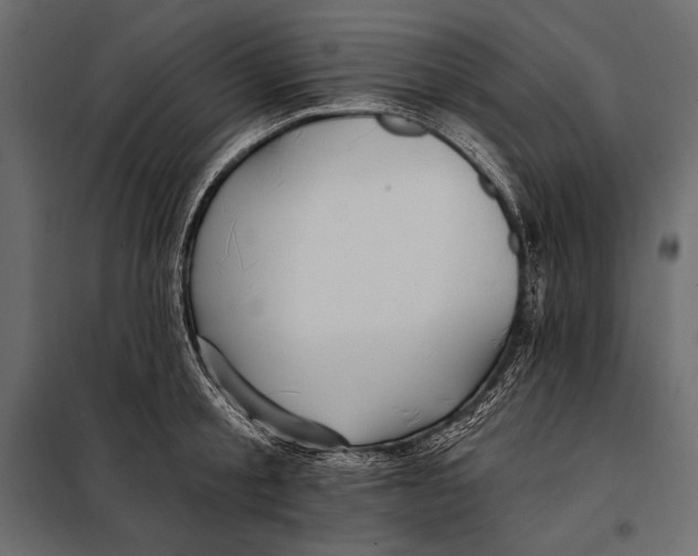 X0000098030805200804251414