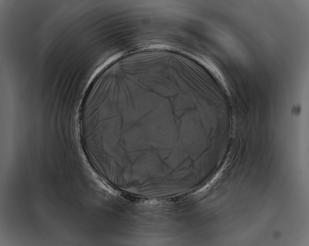 X0000098030806200804251414