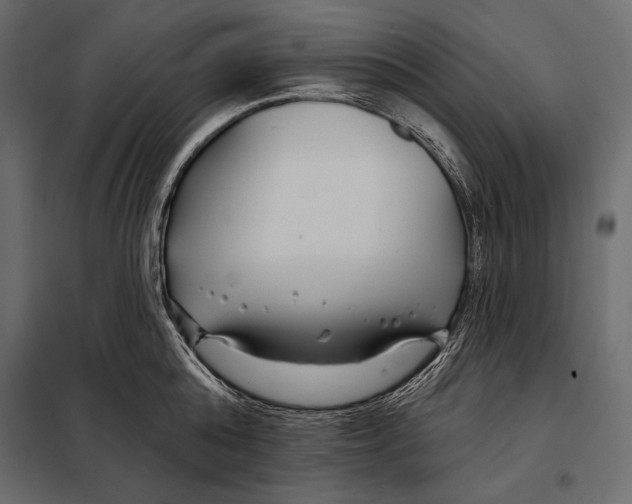 X0000098030808200804251414