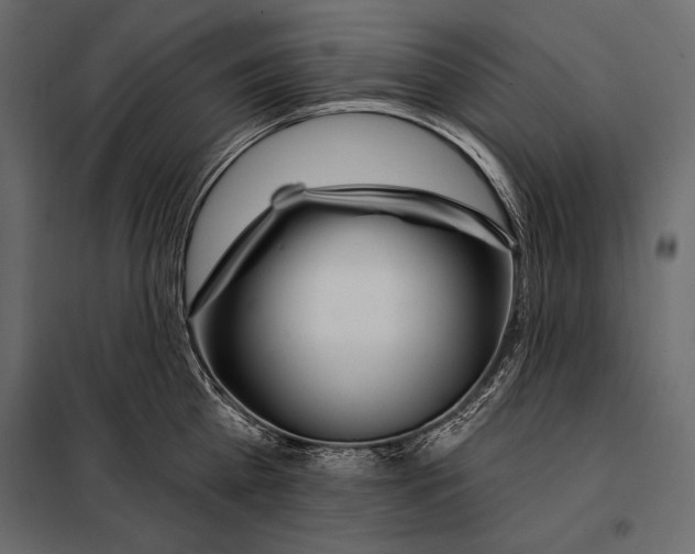 X0000098030809200804251414