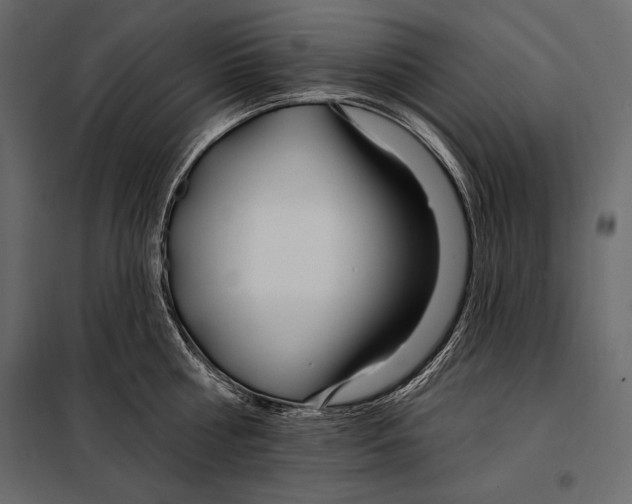 X0000098030810200804251414