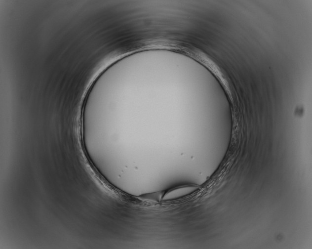 X0000098030811200804251414