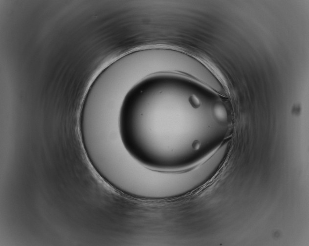 X0000098030813200804251413