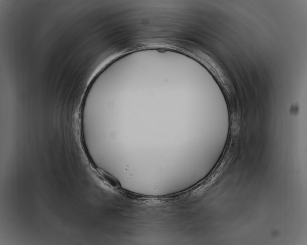 X0000098030814200804251413