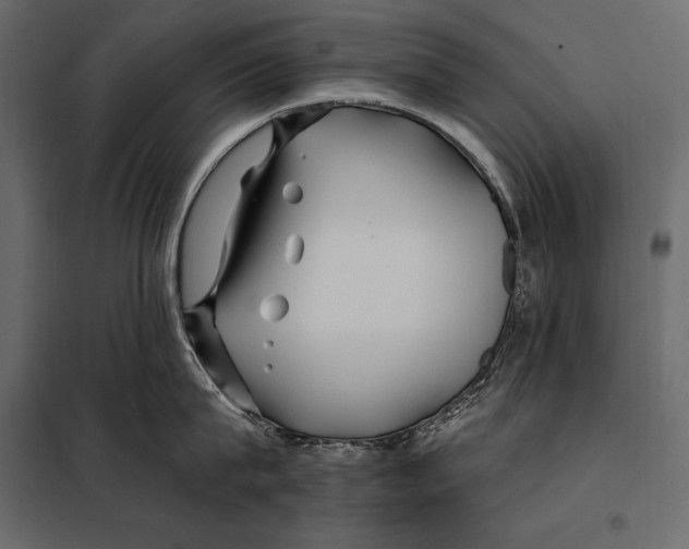 X0000098030815200804251413