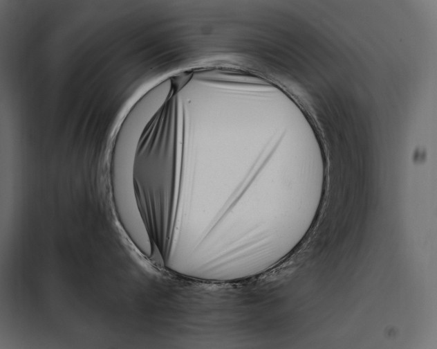 X0000098030816200804251413