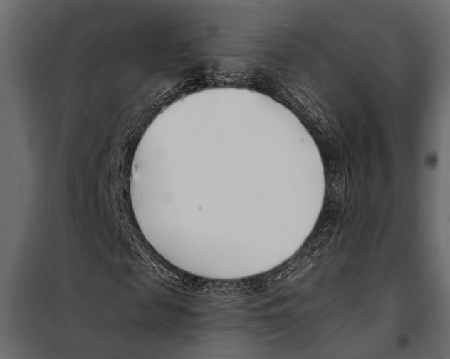 X0000098030817200804251413