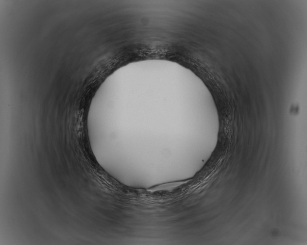 X0000098030818200804251413