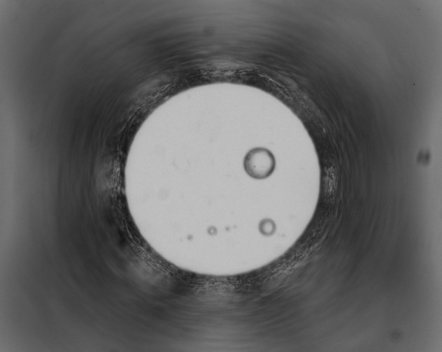 X0000098030820200804251413