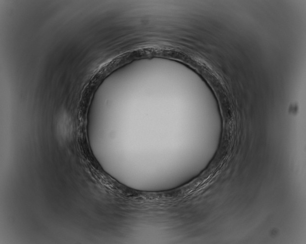 X0000098030822200804251413